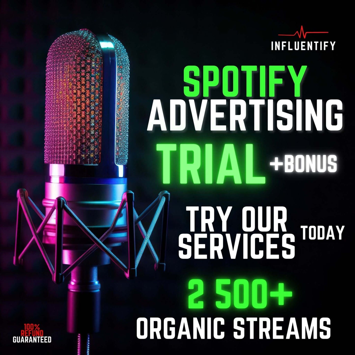 Spotify Advertising Trial Package